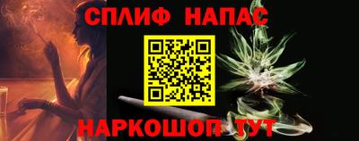 шишки Можга