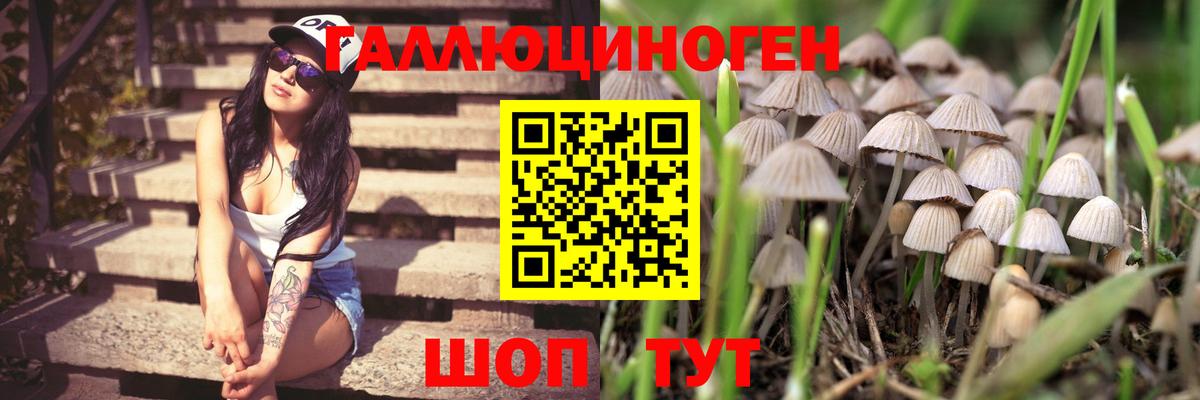 Верхняя Пышма  Псилоцибиновые грибы мицелий  Вход с VPN 
